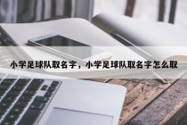 小学足球队取名字，小学足球队取名字怎么取