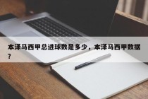 本泽马西甲总进球数是多少，本泽马西甲数据？