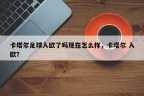 卡塔尔足球入欧了吗现在怎么样，卡塔尔 入欧？