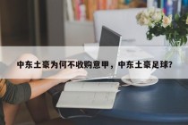 中东土豪为何不收购意甲，中东土豪足球？