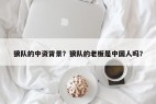 狼队的中资背景？狼队的老板是中国人吗？
