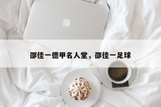 邵佳一德甲名人堂，邵佳一足球