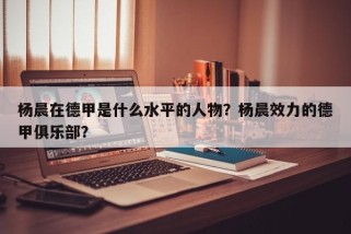 杨晨在德甲是什么水平的人物？杨晨效力的德甲俱乐部？