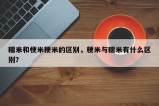 糯米和梗米粳米的区别，粳米与糯米有什么区别？