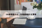 5大联赛是什么，5大联赛是什么赛事