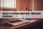 杨晨效力的德甲球队是哪个国家？杨晨在德甲的进球视频？