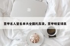 意甲名人堂名单大全图片高清，意甲明星球员