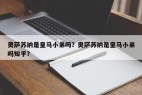 奥萨苏纳是皇马小弟吗？奥萨苏纳是皇马小弟吗知乎？