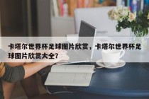 卡塔尔世界杯足球图片欣赏，卡塔尔世界杯足球图片欣赏大全？