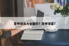 意甲球员大全图片？意甲球星？