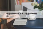 球星卡leaf什么公司？球星卡leaf照片？