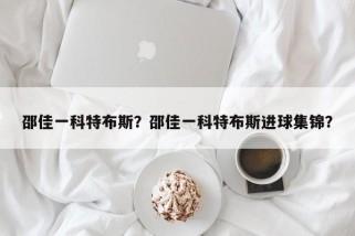 邵佳一科特布斯？邵佳一科特布斯进球集锦？