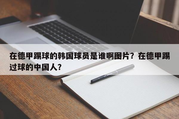 在德甲踢球的韩国球员是谁啊图片?在德甲踢过球的中国人?