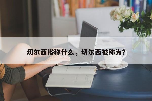 切尔西俗称什么,切尔西被称为?